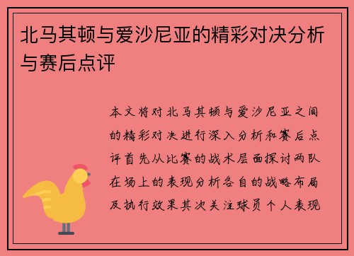 北马其顿与爱沙尼亚的精彩对决分析与赛后点评
