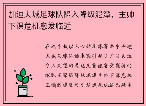 加迪夫城足球队陷入降级泥潭,主帅下课危机愈发临近