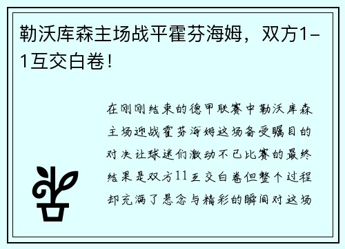勒沃库森主场战平霍芬海姆，双方1-1互交白卷！