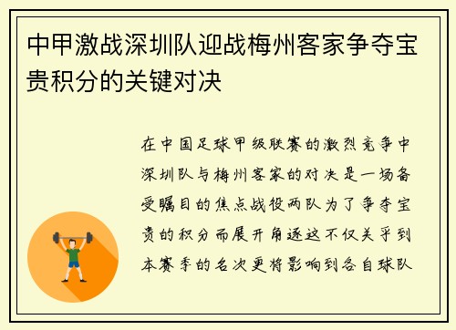 中甲激战深圳队迎战梅州客家争夺宝贵积分的关键对决