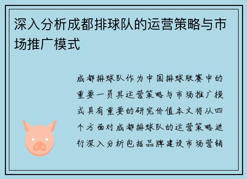 深入分析成都排球队的运营策略与市场推广模式